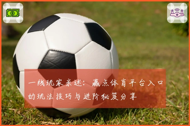 一线玩家亲述：赢点体育平台入口的玩法技巧与进阶秘笈分享