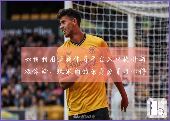 如何利用亚新体育平台入口提升游戏体验，玩家们的亲身分享与心得揭秘